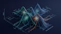 do python data analysis and machine learning models
