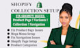 create and organize shopify collections for your store