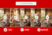 create funny animal ai videos, for youtube shorts,