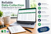 do accurate data collection, web search and data entry