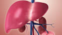 create 3d medical animation pharmaceutical drug mechanism moa