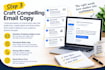 write persuasive email copy, email sequences and sales funnels