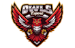 design high quality owl logo with unlimited revision