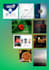 design your meta ad creatives