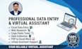 do excel data entry, web research and virtual assistant