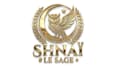 design high quality owl logo with unlimited revision