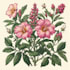 draw hand drawn botanical line art
