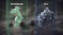 create 3d medical scientific animation biotech molecular explainer video