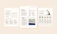 design professional canva presentations and infographics