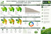 do gis and remote sensing analysis