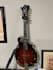 play mandolin on your track