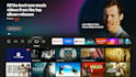develop custom roku and amazon fire TV channels with source code