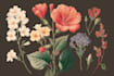 illustrate best botanical illustration