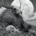 create black and white fantasy art