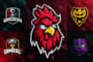 create professional character, mascot, cartoon logo