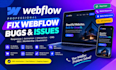 fix webflow bugs, responsive issues, cms, SEO and ecommerce website fixes