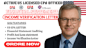 design proforma financial statement for you