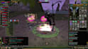 develop customize your knight online private server for you
