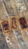 get your tarot answer in one day