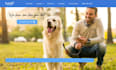 design wix cat sitting services website pet sitter website kitten care website