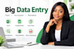 be your big data entry expert