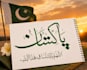 do professionals arabic caligraphy
