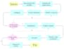 design professional infographics and mind maps
