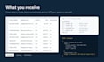 build an ai tool to extract invoice and PDF data into excel