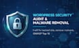 do website vulnerability assessment and fix security issues