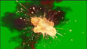 create realistic smoke fire explosion vfx on green screen