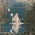 create a beautiful and dreamy album cover