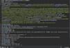 perform web application penetration testing