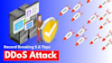 take any website down, ddos attack, website penetrate, ss7 attack