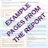 provide a professional human design chart reading