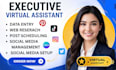 gohighlevel executive virtual assistant social media manager personal assistant
