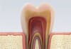 create professional medical and dental presentations