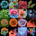 design scientific covers and graphical abstracts