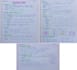 write your text in beautiful handwritten style