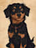design a custom  pet portrait illustration