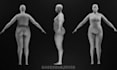 do second life bento rigging fitted mesh bento bones animesh weight painting