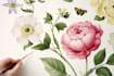create custom flower and plant illustrations