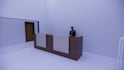 create a professional 3d bim model