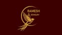 create  high  quality  bird  icon  logo design  for  your  brand