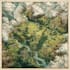 hand draw a fantasy map with digital watercolours