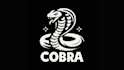design  high  quality  snake  logo  and  serpent  mascot