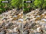 professionally edit your photos and remove backgrounds