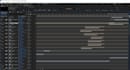edit reels, animate in after effects, and rig in moho