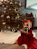 create german ugc ads for black friday and christmas