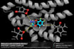 do molecular docking and protein ligand docking for drug discovery