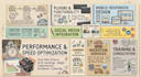 develop a professional, responsive and user friendly website